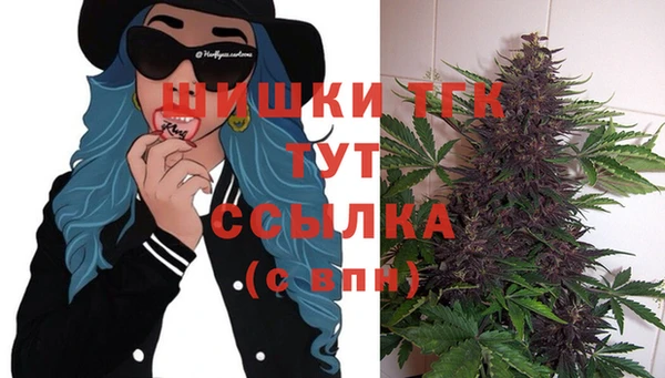 спайс Алзамай