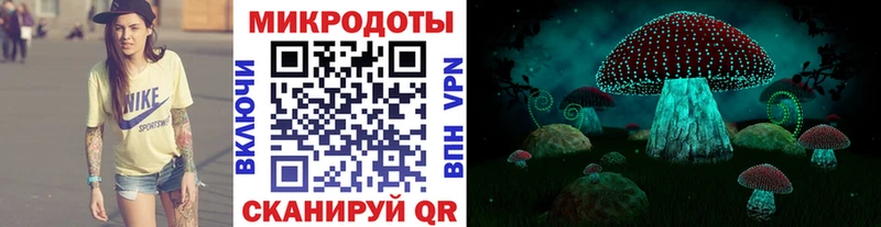 Псилоцибиновые грибы Psilocybe где продают наркотики Искитим